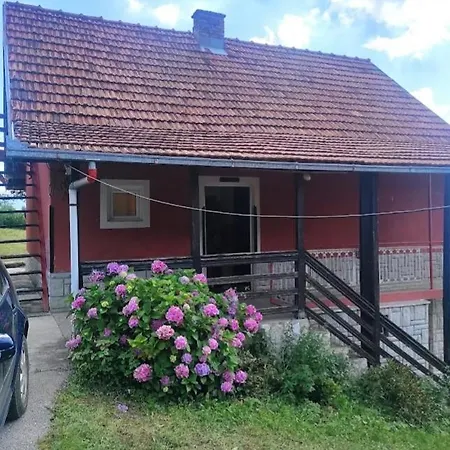 Stanojevic3a *